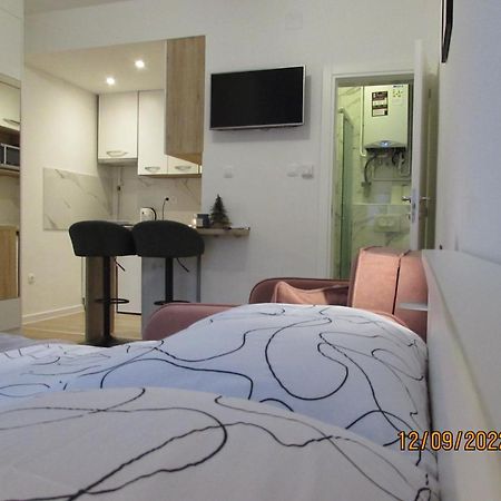 Studio Apartman Oboj Maksimir Self Check In ザグレブ エクステリア 写真